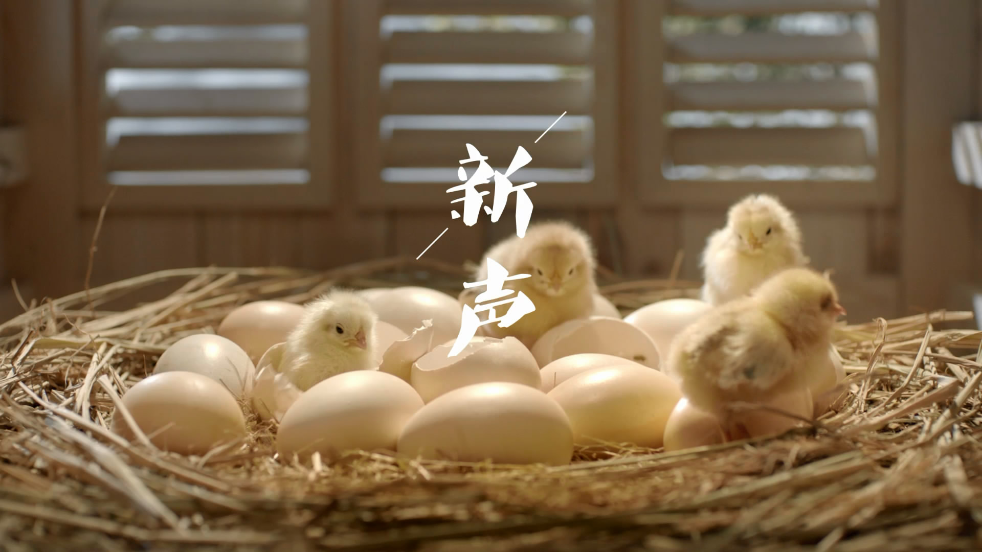 &#20048;&#21160;&#23448;&#26041;&#31471;&#32593;&#39029;&#29256;&#45;&#20048;&#21160;&#40;&#20013;&#22269;&#41;